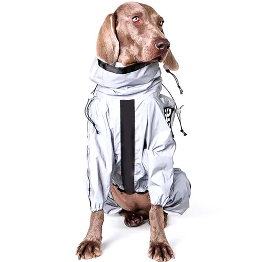 Dog wearing a silver raincoat on a white background