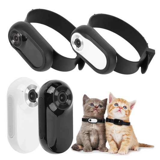 Pet tracking devices with two cats wearing them on a white background