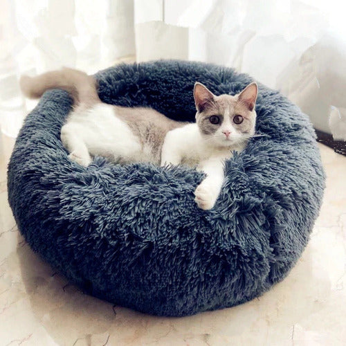 Cat lying on a fluffy blue pet bed indoors