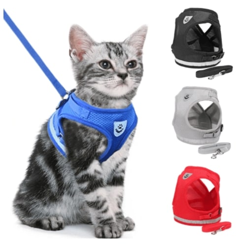 Cat wearing a blue harness with additional harnesses in black, gray, and red displayed above.