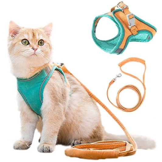 Cat wearing a teal harness and orange leash with a matching harness and leash on a white background