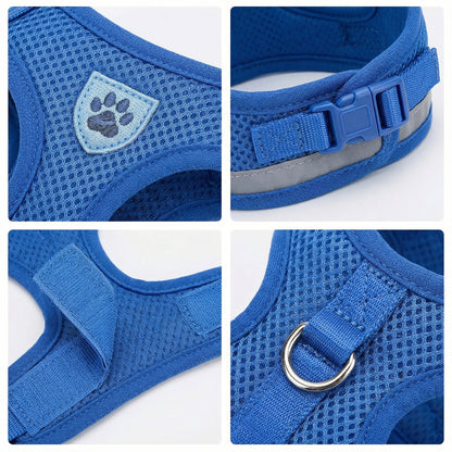 Cat Leash And Harness