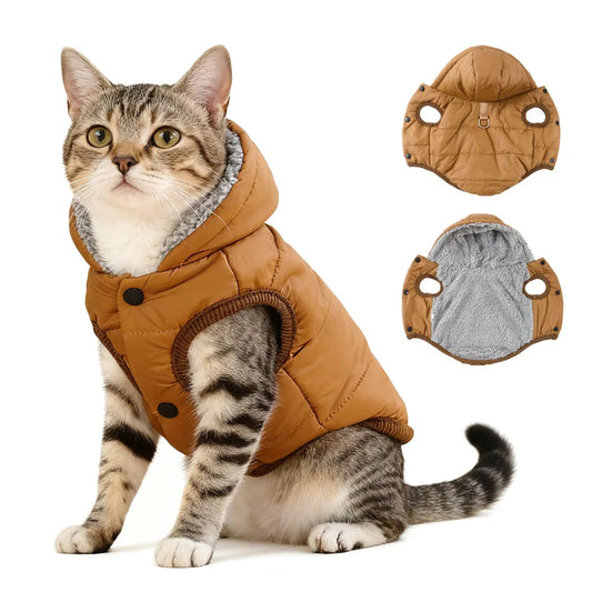 Cat wearing a brown puffer jacket with detachable hood on a white background