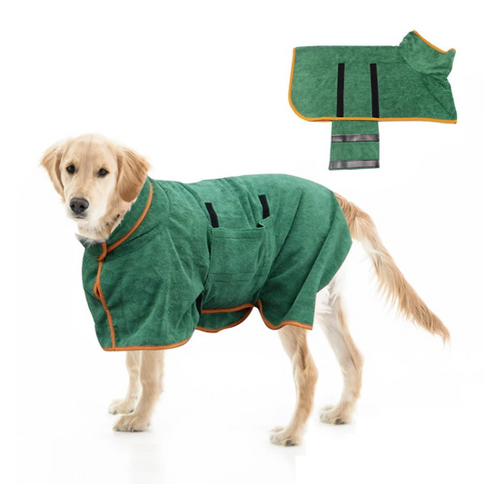 Dog wearing a green raincoat with a matching raincoat on a white background