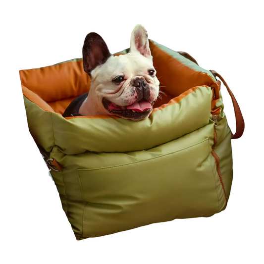 Dog inside a green and orange pet carrier on a white background