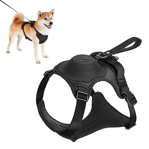 Black dog harness with a small dog wearing it on a white background