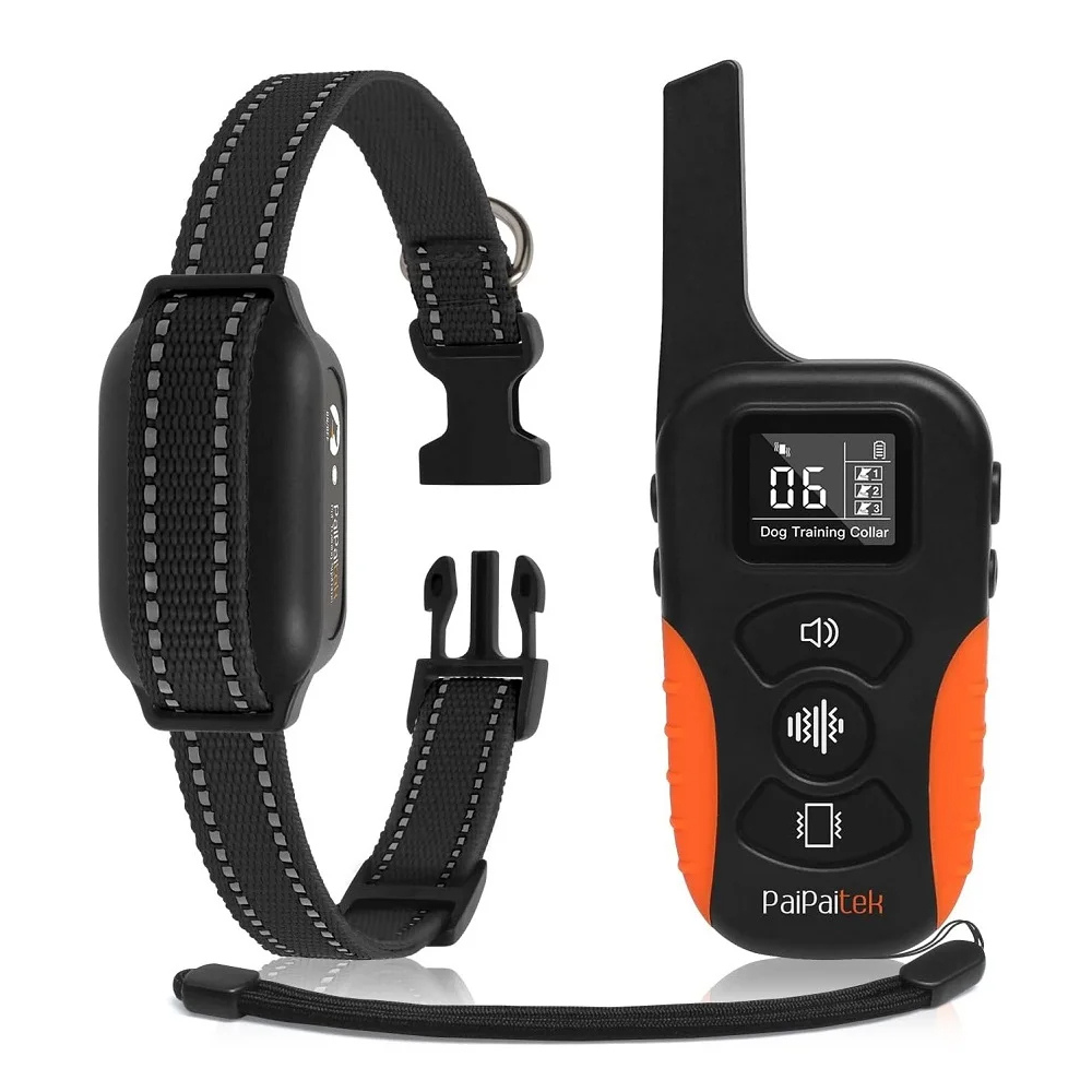 Dog training collar with receiver and black strap on a white background