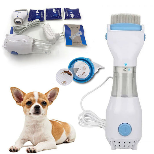 Pet grooming tool set with a dog, dryer, and other accessories on a white background