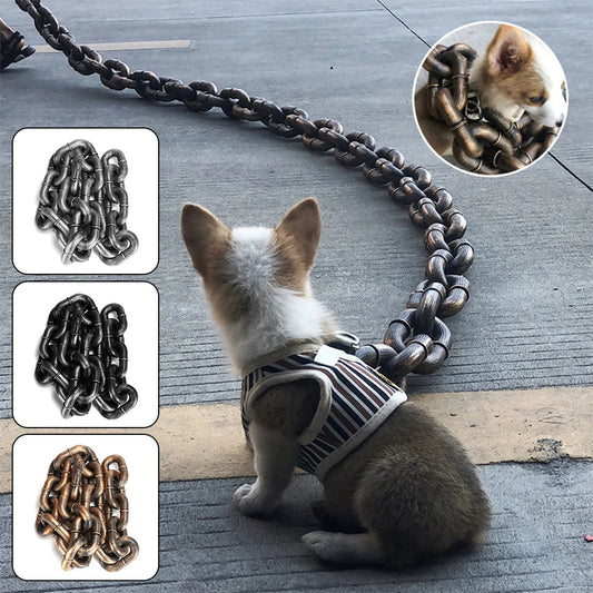 Dog wearing a chain leash on a pavement with close-up insets of the chain.