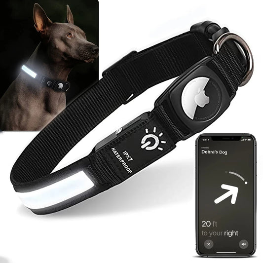 Black dog collar with LED lights and a smartphone app displayed on a white background