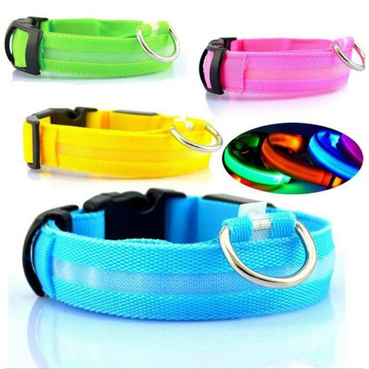 Colorful LED dog collars with a close-up of glowing collars.
