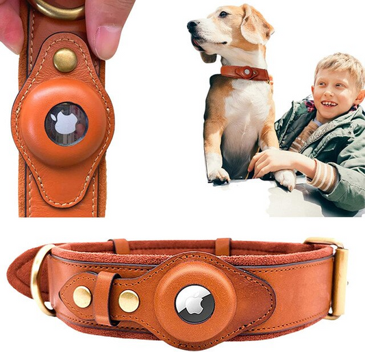 Brown leather dog collar with metal buckle, close-up and on a dog being held by a child.