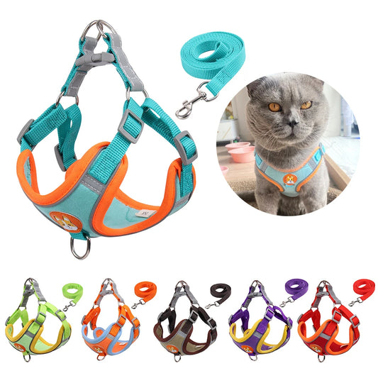 Cat harness and leash set with a cat wearing the harness inset, and additional color options displayed below.