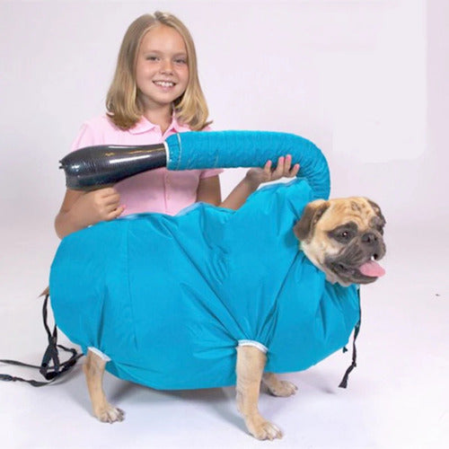 Dog wearing a blue烘干罩 with a girl holding a hair dryer on a white background