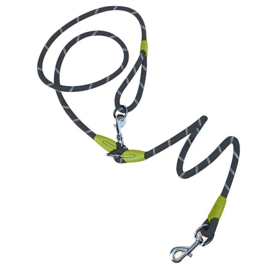 Dog leash with green accents on a white background