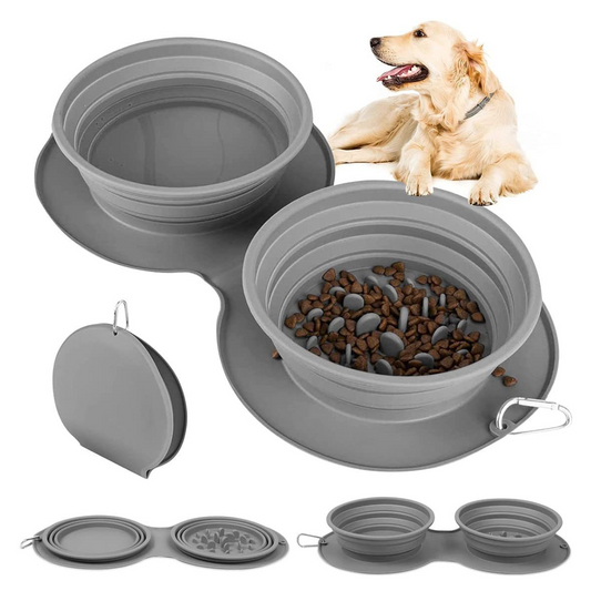 Collapsible gray dog bowls with a dog sitting next to them on a white background