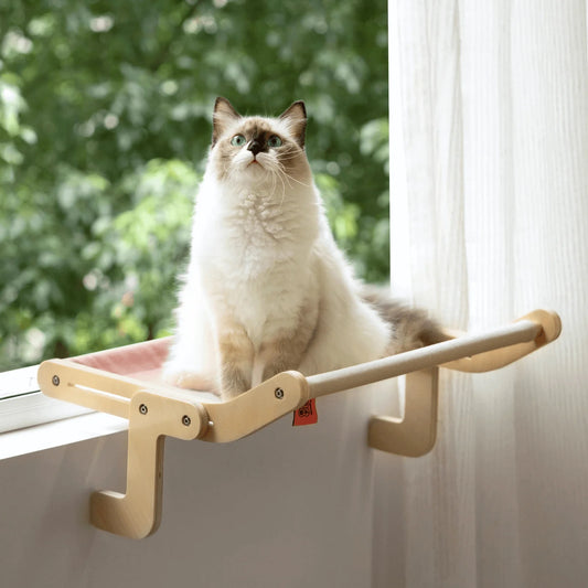 Cat sitting on a wooden window perch with a blurred green outdoor background
