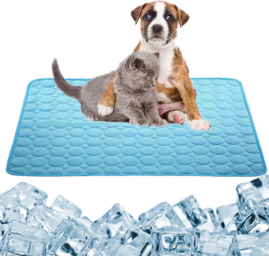 Dog and cat on a blue cooling pad with ice cubes at the bottom