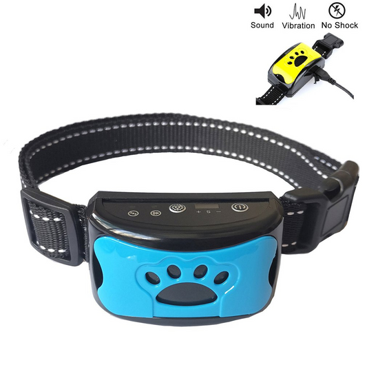 Dog training collar with blue display and black strap on a white background